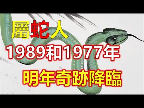 1989年是什么命|1989属蛇的五行 1989年属蛇蛇是什么命